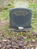 image of grave number 54817